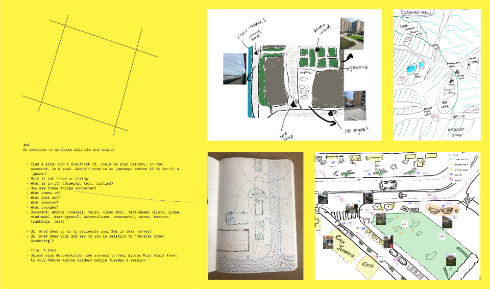 Common Design Studio - A Cookbook for Planetary Health-20240105115541499.png